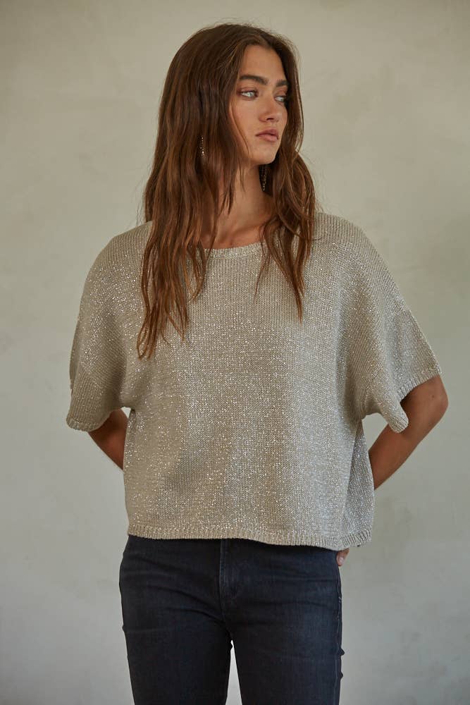 Lurex Detail Knit Sweater Top